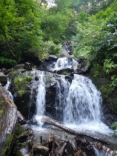 c0359615_21085382.jpg