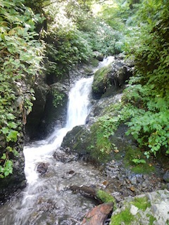 c0359615_21091731.jpg