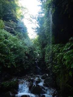 c0359615_21092959.jpg
