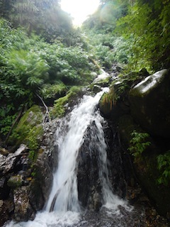 c0359615_21094442.jpg