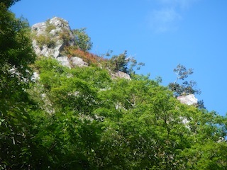 c0359615_21095652.jpg
