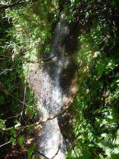 c0359615_21101741.jpg
