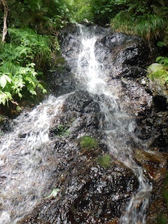 c0359615_21102782.jpg