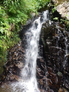 c0359615_21103733.jpg