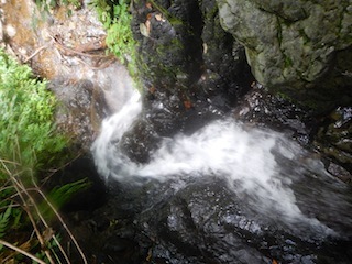 c0359615_21104745.jpg