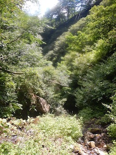 c0359615_21110123.jpg