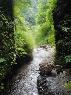 c0359615_21111233.jpg