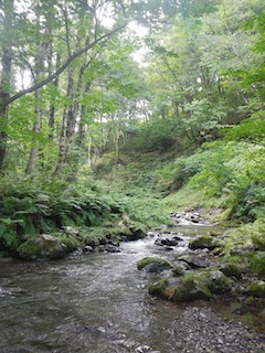 c0359615_21112563.jpg