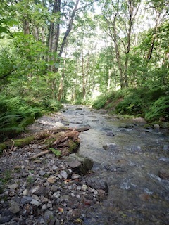 c0359615_21113799.jpg