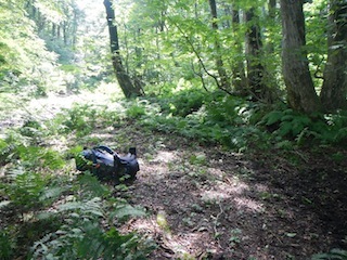 c0359615_21115352.jpg