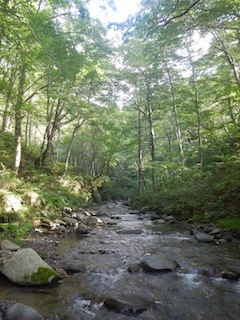 c0359615_21124029.jpg