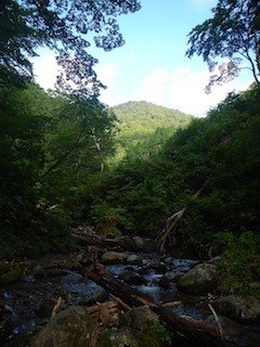 c0359615_21125632.jpg