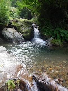 c0359615_21134629.jpg