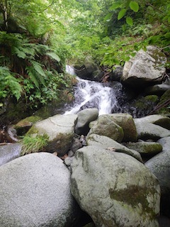 c0359615_21140532.jpg