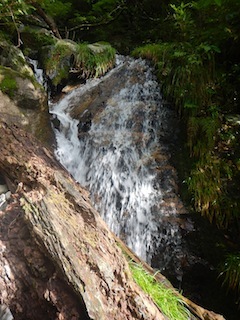 c0359615_21143827.jpg