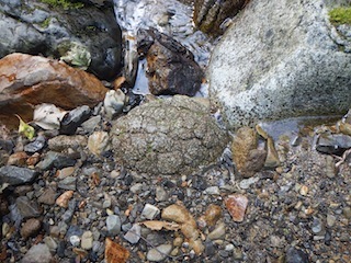 c0359615_21145452.jpg