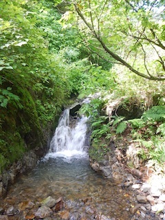 c0359615_21151359.jpg