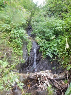 c0359615_21160526.jpg
