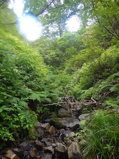c0359615_21162180.jpg