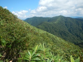 c0359615_21165819.jpg