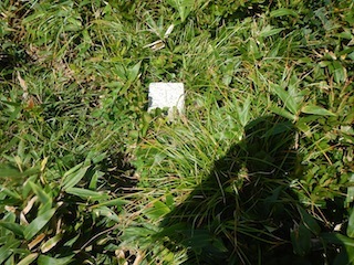 c0359615_21173512.jpg