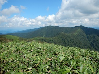 c0359615_21175486.jpg