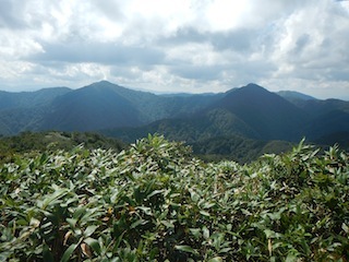 c0359615_21180923.jpg