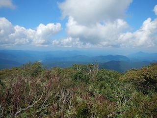 c0359615_21182528.jpg
