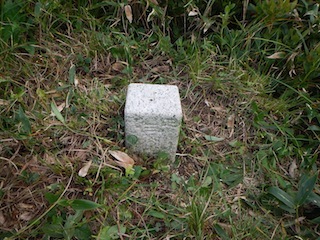 c0359615_21184074.jpg