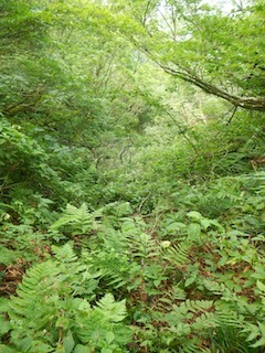 c0359615_21191717.jpg