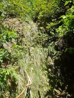 c0359615_21194412.jpg