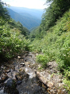 c0359615_21195724.jpg