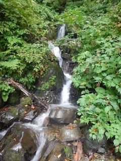 c0359615_21200884.jpg