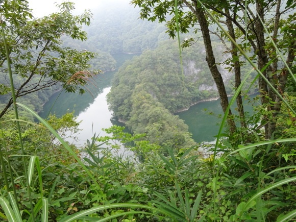 b0163121_22343994.jpg