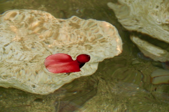 a0340431_06534090.jpg