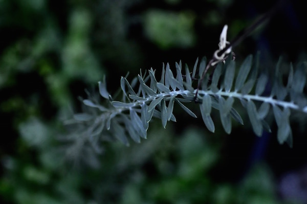 b0172633_13283494.jpg