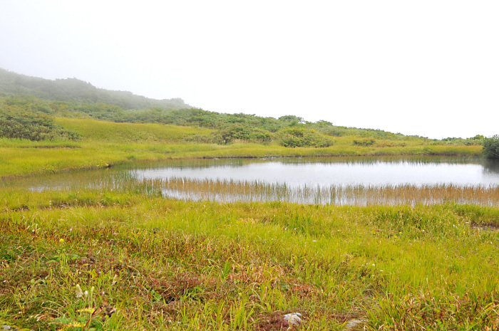 c0172234_23245631.jpg