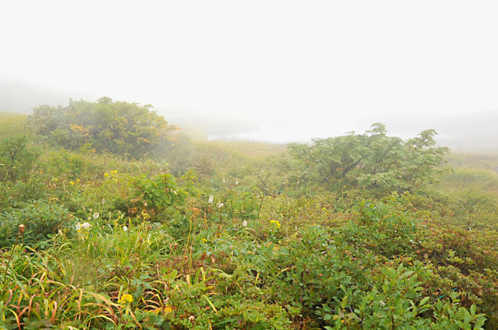 c0172234_23251469.jpg