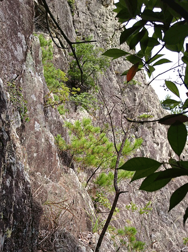 e0371039_16182441.gif
