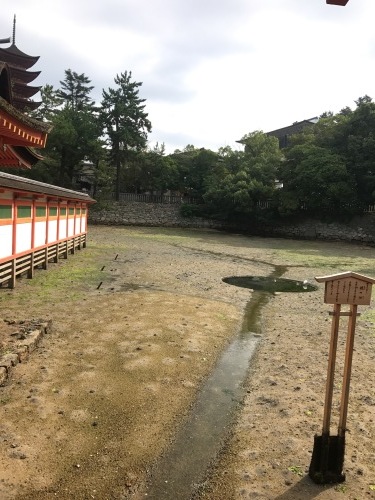 f0335539_19593023.jpg