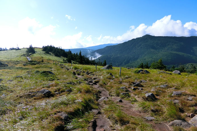 d0149245_12384480.jpg