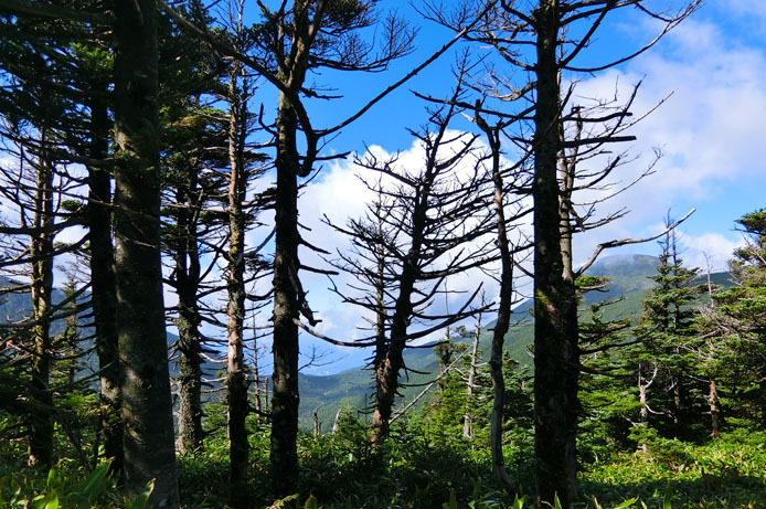 d0149245_12392020.jpg