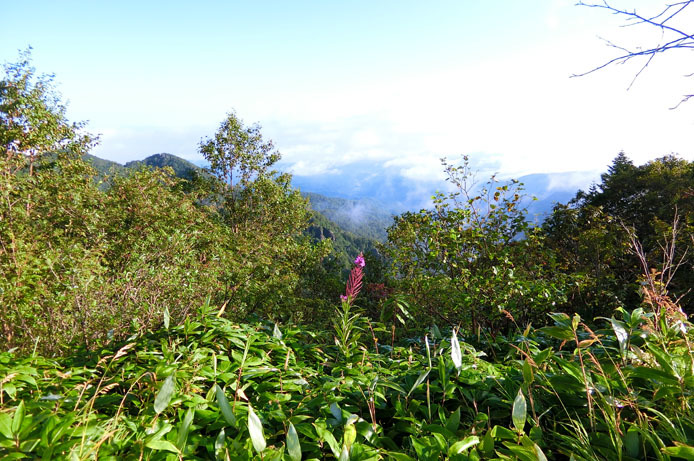 d0149245_12392493.jpg