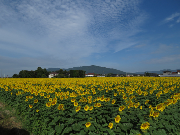 f0214649_05311713.jpg