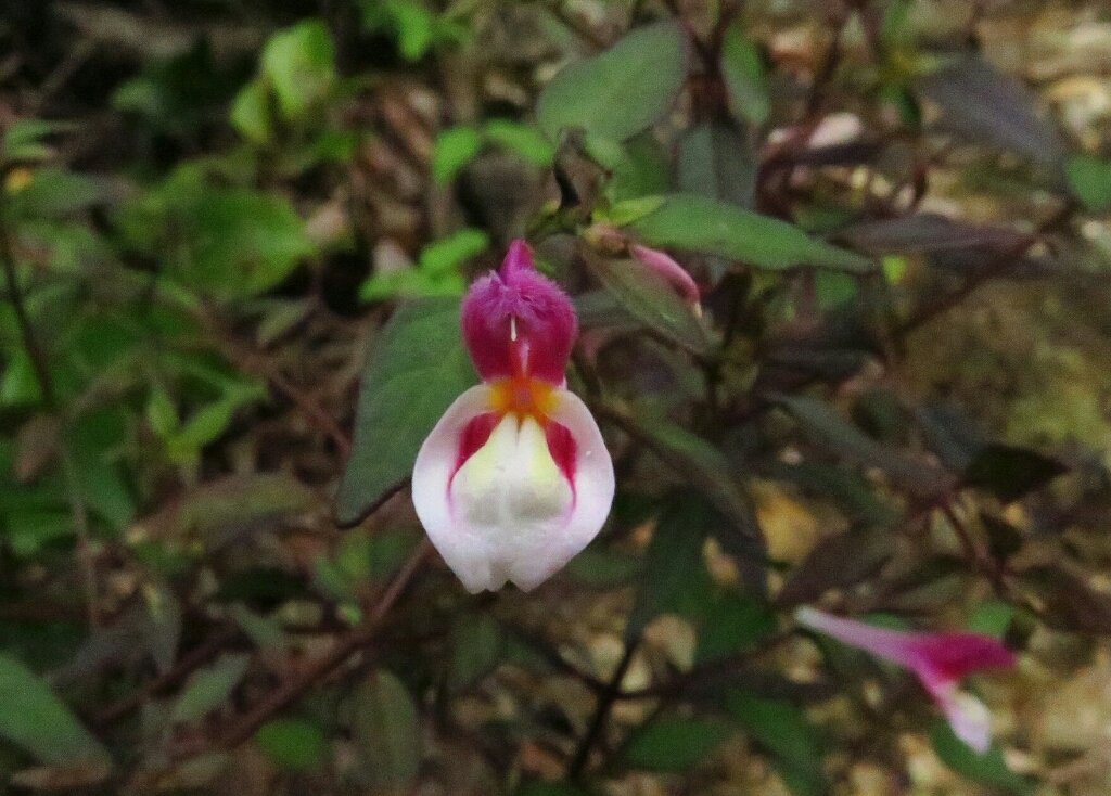a0018655_14131478.jpg