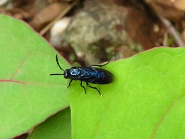 a0018655_14132985.jpg