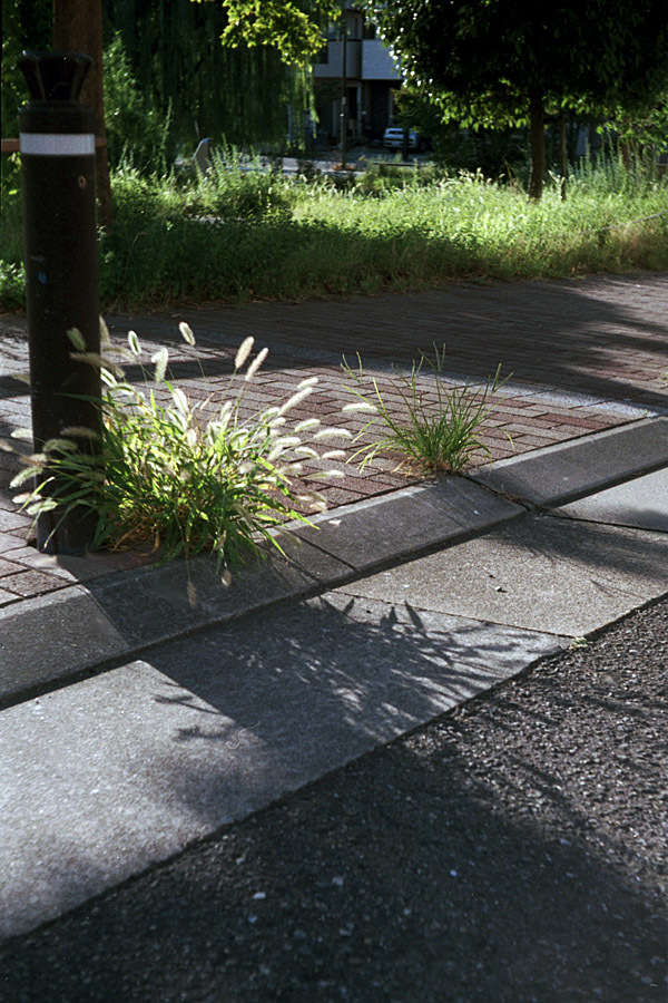 e0101258_22120977.jpg