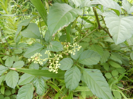 f0060461_10044022.jpg