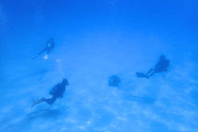 b0062363_15571942.jpg