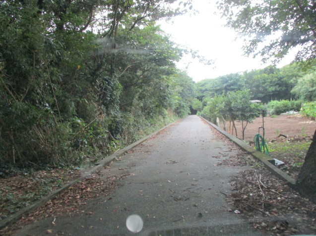 b0366663_08265274.jpg